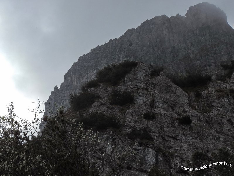 23 Ferrata MAURIZIO Anticima est Monte Alben.JPG -           
